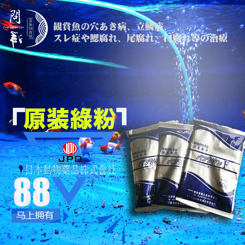 鱼病在日常的管理中能够预防