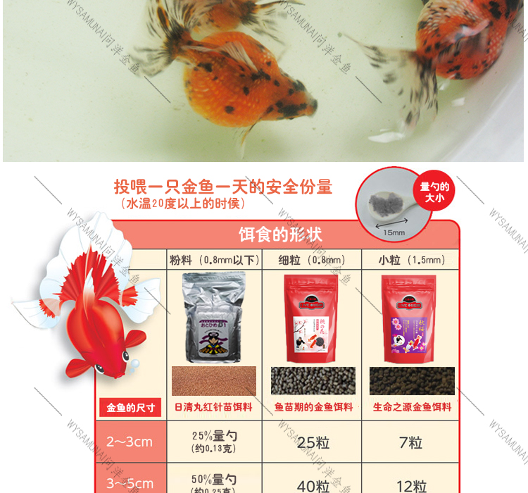 问洋金鱼详情页珍珠_05.jpg