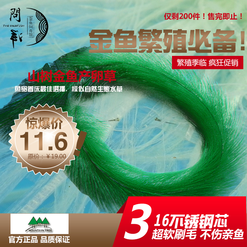 山树金鱼锦鲤繁殖草