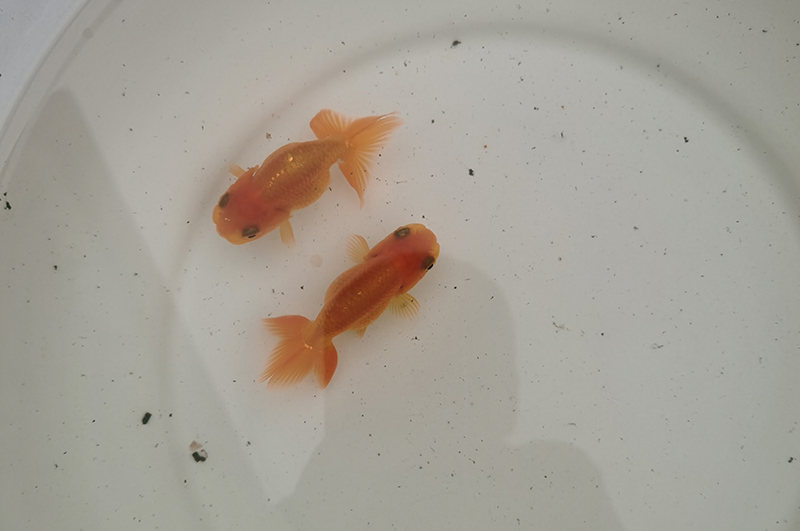 1661907325400.jpg 1661907325400.jpg